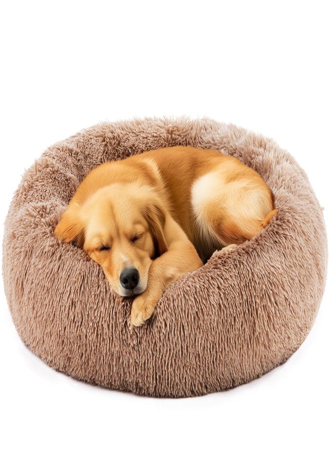 NEWBULIG 30.7x30.7 Inch Dog Bed Large Sized Dog, Donut Shape Cat Beds for Indoor Cats with Washable, Anti-Slip, Faux Fur - Image 1